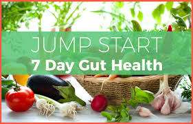 Abra's Kitchen - The 7 Day Gut Health Program