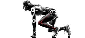Annette Verpillot - Foot Mechanics and Gait Cycle
