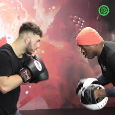 Barry Robinson - How to Punch Harder and Faster