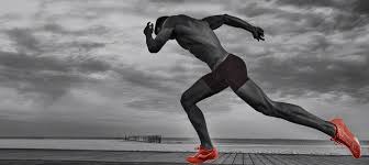 Brain Coach Performance Certification