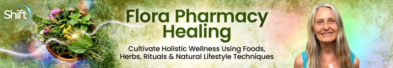Brigitte Mars - Flora Pharmacy Healing 2024