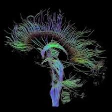 Command Z - Esozone Codex Brain Change Course