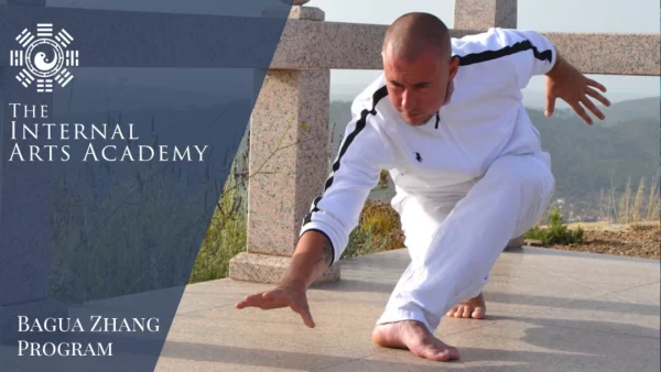 Damo Mitchell - Internal Arts Academy - Online Baguazhang Program Phase 2