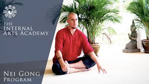 Damo Mitchell - Internal Arts Academy - Online Nei Gong Program Year 2