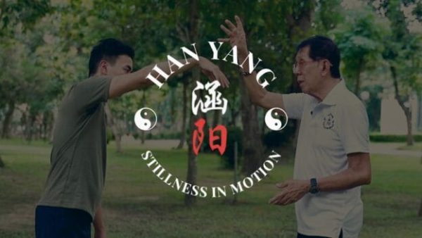 Dennis Wang - Han Yang Ru Yi - Medical Qi Gong