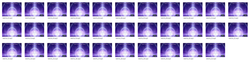 Duane and DaBen - Divine Manifesting with the Light Body