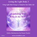 Duane and DaBen - Expanding Your Role in the World: Part 3 Living the Light Body