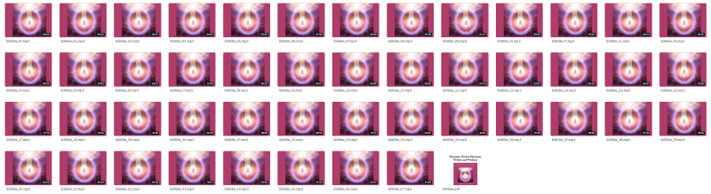Duane and DaBen - Luminous Body: Portal to Your Consciousness II: Dynamic, Perfect Harmony Within and Without