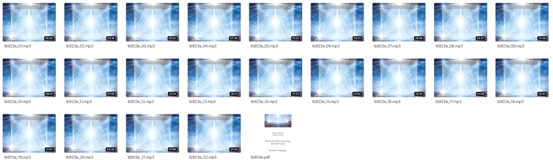 Duane and DaBen - Radiance Building Consciousness: Part 3 Radiating Consciousness