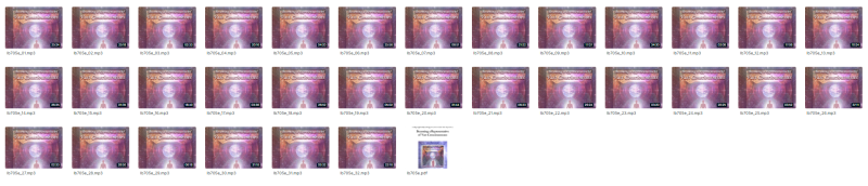 Duane and DaBen - Using Light Body Energy to Live as Your Vast Self: Part 2 Becoming a Representative of Vast Consciousnesses