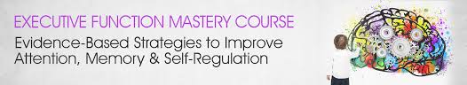 George McCloskey, Lynne Kenney, Kathy Morris - Executive Function Mastery Course - Evidence-Based Strategies to Improve Attention, Memory Self-Regard-Regulation