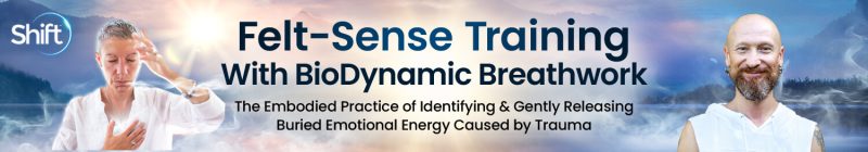 Giten Tonkov - Felt-Sense Training With BioDynamic Breathwork 2024
