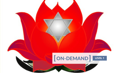 Gregor Maehle - On-Demand Meditation Level 1 Course