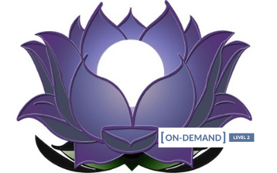 Gregor Maehle - On-Demand Meditation Level 2 Course