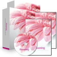 Holosync - Flowering level 2