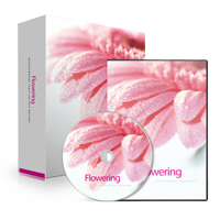 Holosync - Flowering level 4