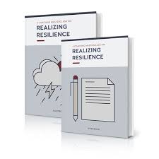 Hugo Alberts - Realizing Resilience Masterclass