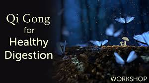 Lee Holden - Qi Gong for Healthy Digestion Workshop