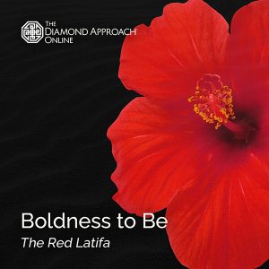 Lightness of Being - Boldness to Be The Red Latifa