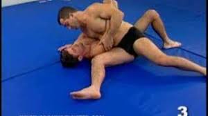 Mario Sperry - Vale Tudo series 1