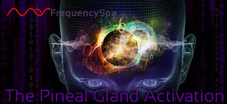 Mas Sajady - Pineal Gland Activation