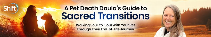 Monique Brignoni - A Pet Death Doula's Guide to Sacred Transitions 2025