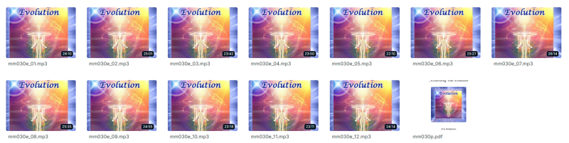 Orin - Orin's Accelerating Your Evolution