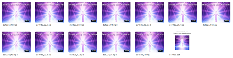 Orin - Transforming Your Emotions: Transcending Your Ego Part 2