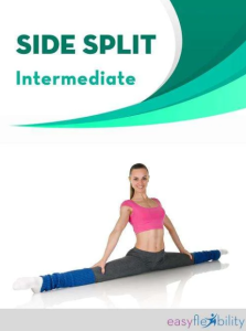 Paul Zaichik - Easy Flexibility - Side Stretching Intermediate