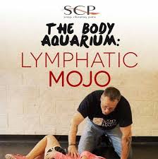 Perry Nickelston - Glymphatic Mojo Webcast
