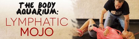 Perry Nickelston - Lymphatic Mojo Webcast