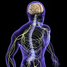 Perry Nickelston - Vagus Nerve Mojo Webcast