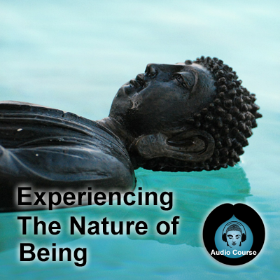 Peter Ralston - Experiencing the Nature of Being Video Course