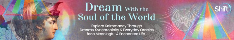 Robert Moss - Dream With the Soul of the World