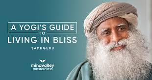 Sadhguru - A Yogi’s Guide to Joy