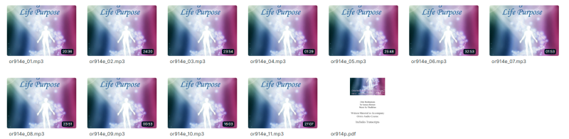 Sanaya and Orin - Living Your Life Purpose