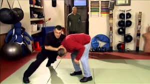 Self Defense Company - Self Defense Training System (SDTS) (Module 1-12)