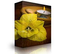 Subliminal Shop - Anxiety Relief Aid (5.75G - Type A/B/C/D Hybrid)
