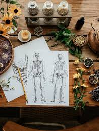 THE HERBAL ACADEMY - Advanced Herbal Course