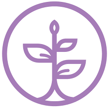 Thais Gibson - Personal Development School - Overcoming Unworthiness by Understanding and Accepting your Shadow