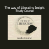 Adyashanti teaching The Way of Liberating Insight Study Course for spiritual awakening and direct realization