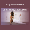 Allie Van Fossen Body Mind Soul Detox course download