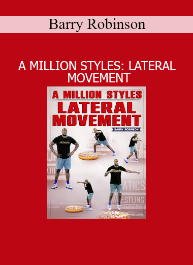 Barry Robinson demonstrating lateral movement drills from the A Million Styles boxing system