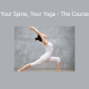 Bernie Clark and Dr. Stuart McGill teaching Your Spine, Your Yoga course on spinal health and yoga integration