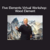 Bruce Frantzis Five Elements Virtual Workshop Wood Element course download