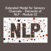 Chris Mulzer Extended Model for Sensory Channels NLP Module 02 course download