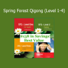Chunyi Li teaching Spring Forest Qigong Levels 1 to 4 for healing and energy cultivation