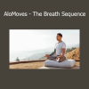 Download The Breath Sequence Course by Dylan Werner on AloMoves – Breathwork for Energy & Focus