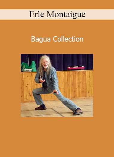 Erle Montaigue demonstrating internal martial arts techniques from the Bagua Collection