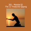 Download The 12 Treasures Qigong Module 02 course from Flowing Zen 201